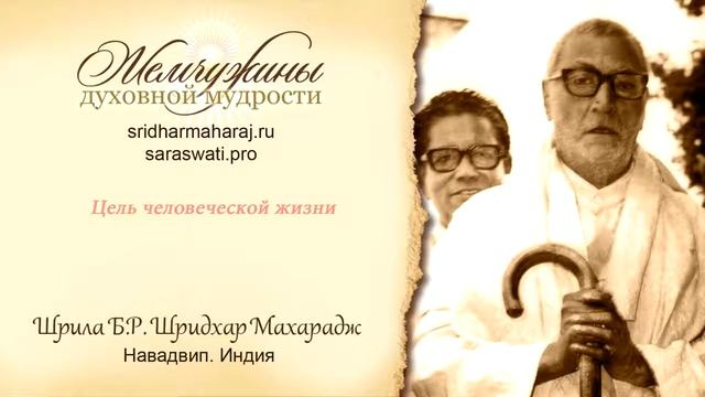 Шрила Б.Р.Шридхар Махарадж, 