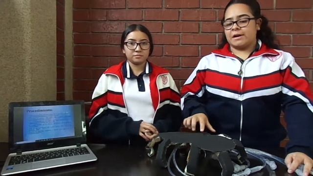 Principio de Pascal Araña Hidráulica смотреть онлайн