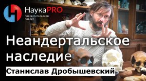 Неандертальское и денисовское наследие у сапиенсов – Станислав Дробышевский |Лекции по антропологии