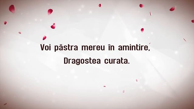 Dan Spataru - Drumurile Noastre (versuri, Lyrics, Karaoke)