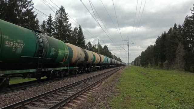 Пугающий 2ТЭ116У-0190 "БТС" с грузовым поездом, перегон Войсковицы - Елизаветино смотреть онлайн