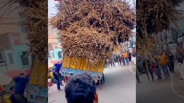 Loaded Truck Falls Slow || Drive Safe | Guam | UAE | India | UK | Asia | Europe | Australia | Afric смотреть онлайн