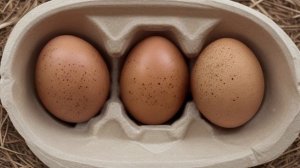 Меню при панкреатите. Личный опыт