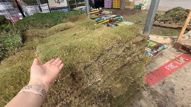 Влог США/ Уход за розами/Подсеиваем траву на газоне смотреть онлайн