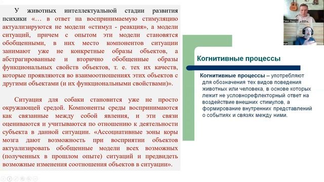 Кинолог Владимир Гриценко об интеллекте собак и важности среды для развития. Вторая часть. смотреть онлайн
