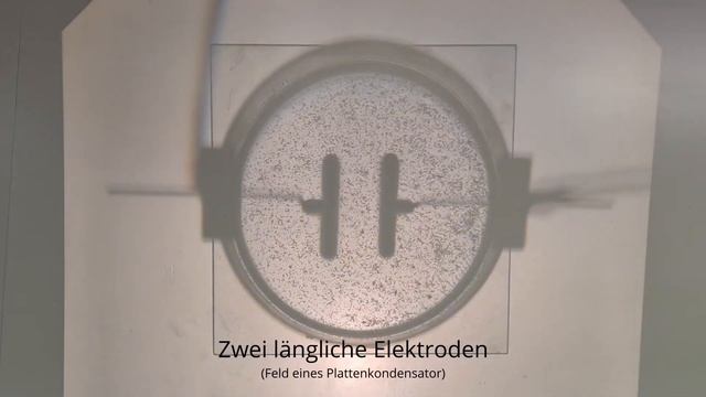 Elektrisches Feld - elektrische Feldlinienbilder mit Grießkörnern in Rizinusöl untersuchen смотреть онлайн