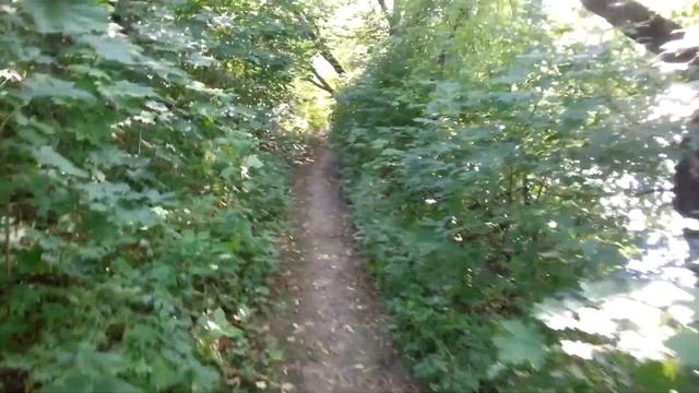 Вдоль реки Пахра - 1. Лето 2018.