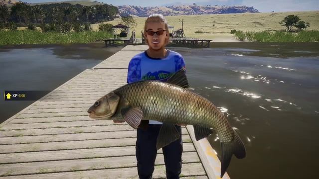 Diamond grass carp: cotw the angler смотреть онлайн