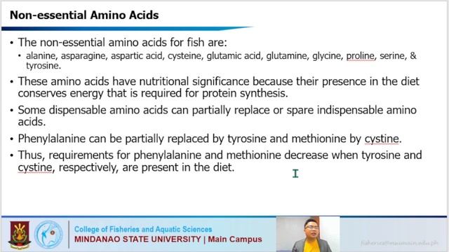 Proteins and Amino Acids смотреть онлайн