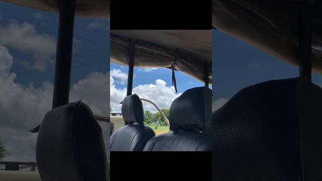 Обезьяна обваровывает машины