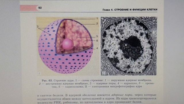 Седьмое занятие 7.2 смотреть онлайн