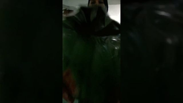 обзор на чипсоны смотреть онлайн