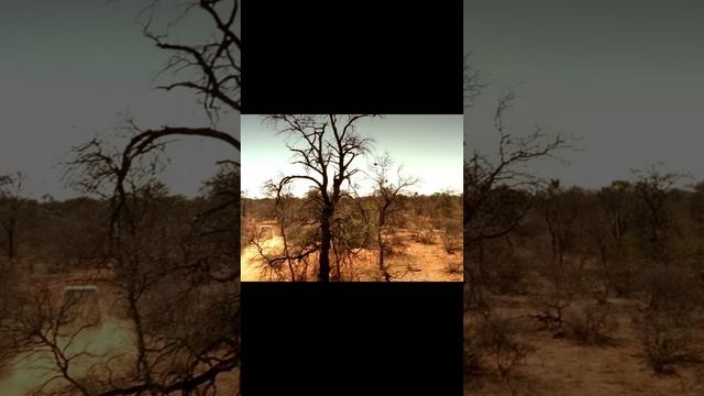 Добыча начало