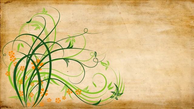 after effect - vector- loopOut - motion - flower - butterfly - stroke смотреть онлайн