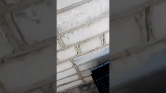 ВЛОГ нашли котёнка смотреть онлайн