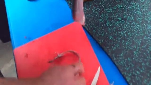 Smoked Mackerel By Forge Fieldcraft