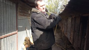 Собрали молодняк со всех клеток. 04.11.24