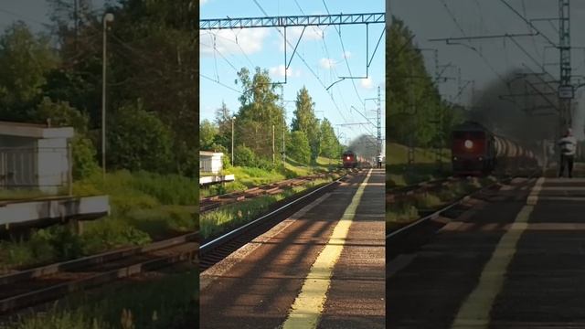 Smoke grenade №4 смотреть онлайн