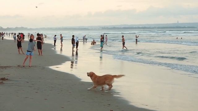 Hotel Indigo Bali Seminyak Beach: Beach Life смотреть онлайн