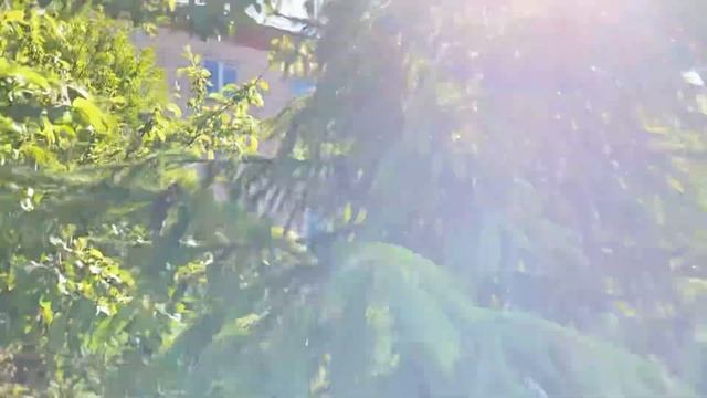 Вот такая красота кругом зелено и красиво пение птиц смотреть онлайн