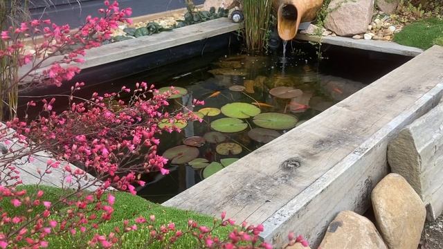How important are pH, KH and GH to your pond and fish? смотреть онлайн