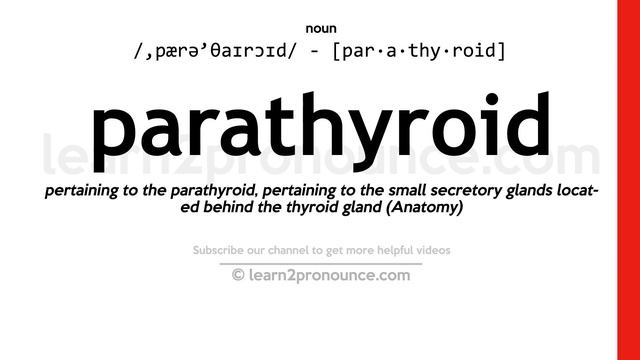 Pronunciation of Parathyroid | Definition of Parathyroid смотреть онлайн