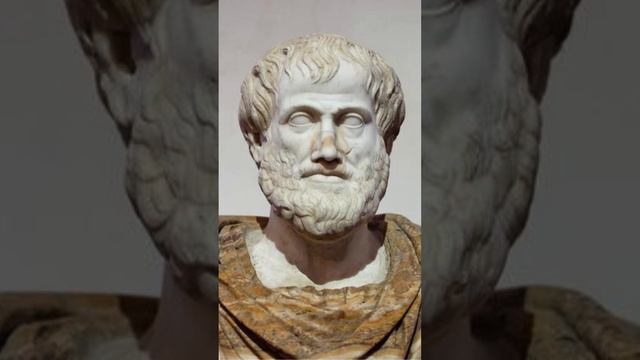 Contributions to Biology #aristotle #greece #history #ancient смотреть онлайн
