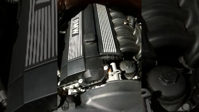 BMW E39 528I Engine Sound