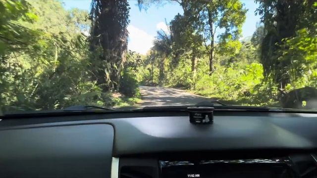 Freya Ke taman safari indonesia bogor new 2024 | Explore binatang | Happy kids family смотреть онлайн
