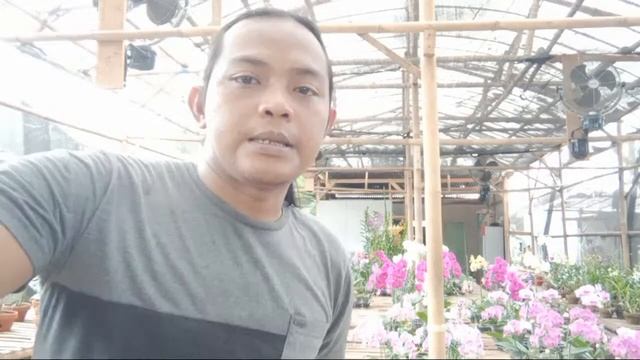 Promo Dendro Terbaru Bulat Dan Kriting смотреть онлайн