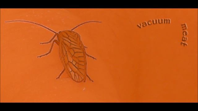 Vacuum - Meat смотреть онлайн