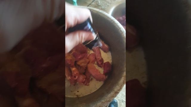 Purina FortiFlora - хороший пробиотик для собак. Рыжуля и Каштанчик, приют Сириус. #приютдлясобак