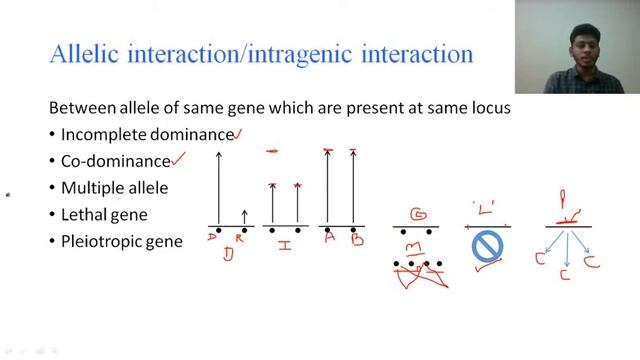 Principles of Inheritance and Variation | Lecture-2 | Nandhan HD | смотреть онлайн