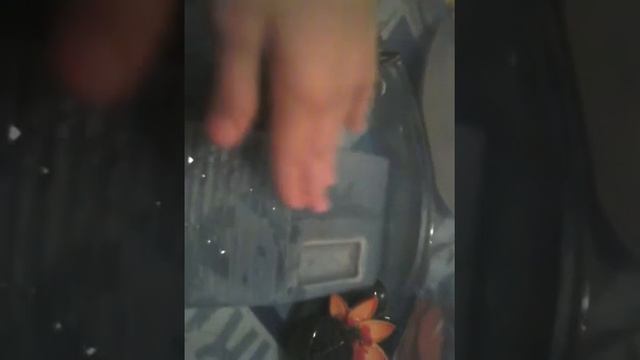 Устройство черепашника & чем МОЖНО кормить черепах.