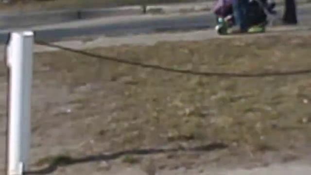 Мартовская прогулка с Сюзечкой-3. Видео крупным планом. Йорк в красивой одежде)