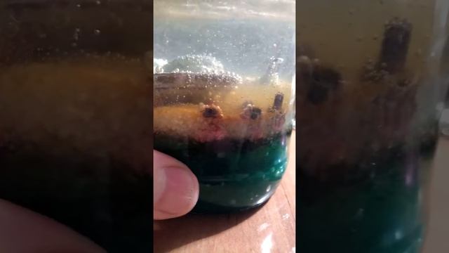 Выращивание кристаллов меди из купороса смотреть онлайн