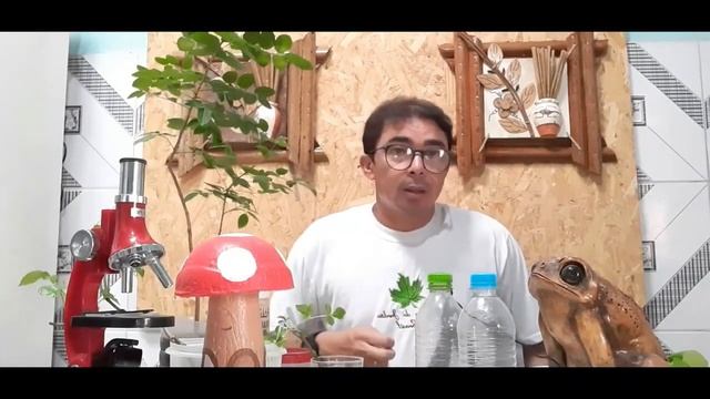Como fazer #estaquia para iniciantes (video 2) Melhores Enraizadores смотреть онлайн