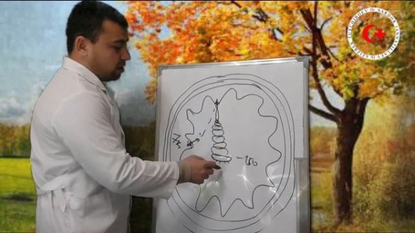 ПАКАНА ГИЖЖА