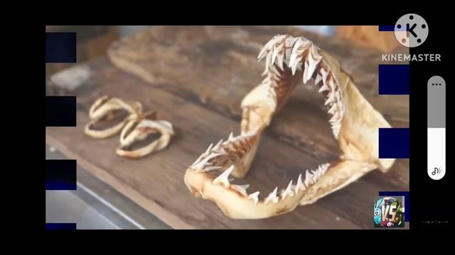 Мегалодон Megalodon