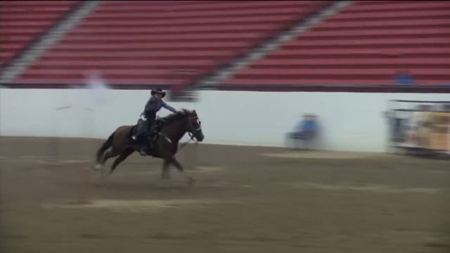 Lisa Jean DeGeare - 2015 CMSA Western U.S. Ladies' Overall Champion! смотреть онлайн