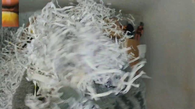 Unboxing skibidi toilet,camera women vs tv man titan,speaker man toys | asmr satisfying video смотреть онлайн