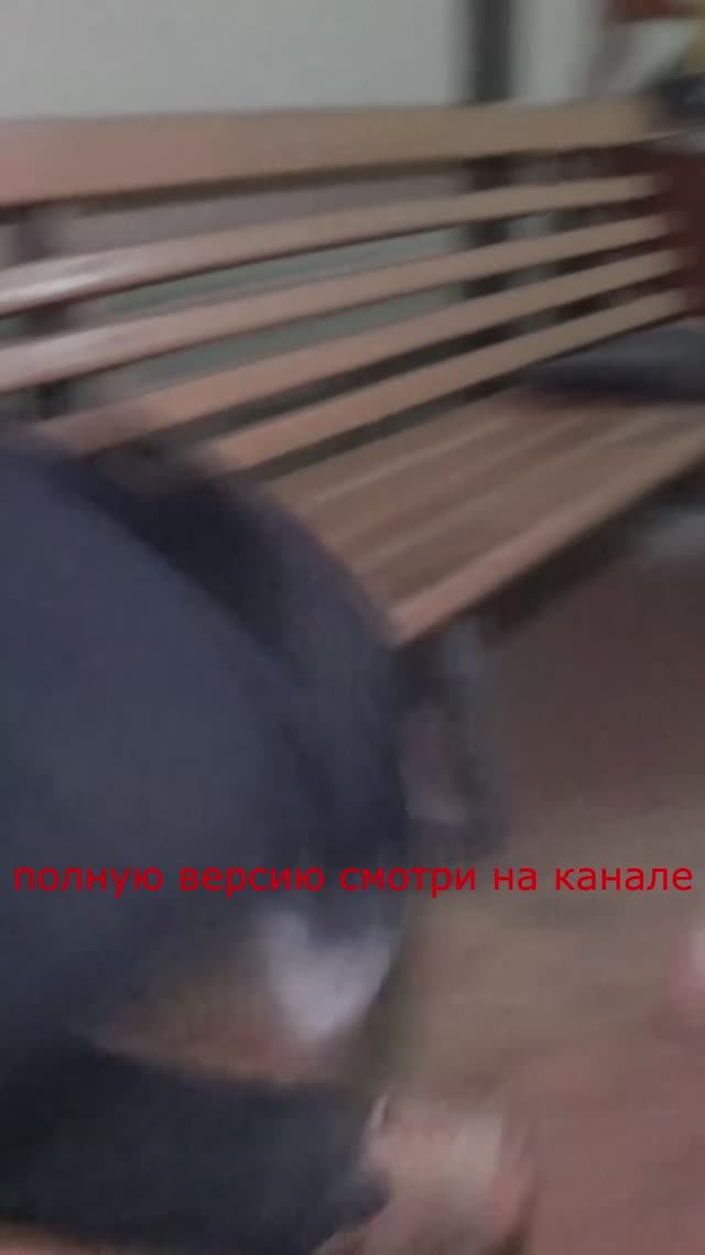 Охота на квадроберов тизер смотреть онлайн