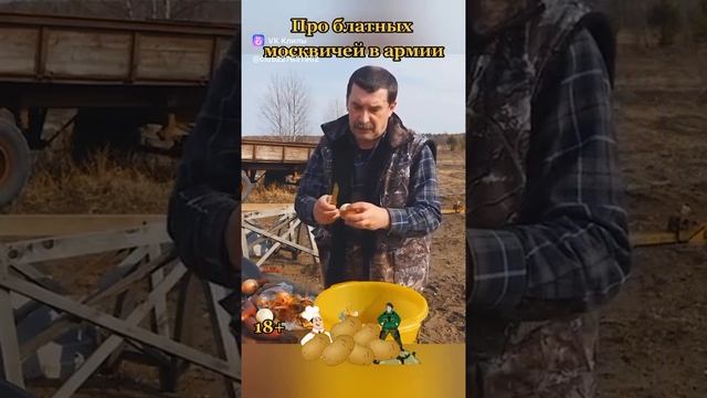 Блатные москвичи в армии.mp4 смотреть онлайн