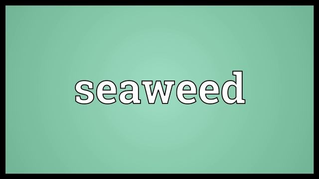 Seaweed Meaning