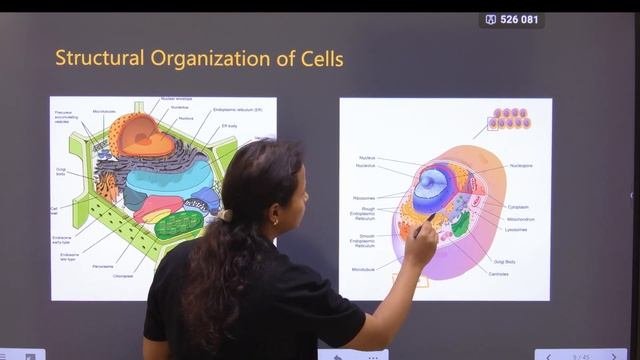 CELL | THE FUNDAMENTAL UNIT OF LIFE | INTRODUCTION | CBSE | CLASS 9TH | NEET FOUNDATION смотреть онлайн