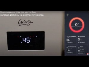 Управление электрическим котлом Thermex Grizzly 5 12 Wi Fi через приложение Thermex Home