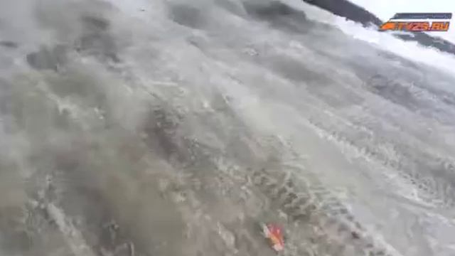 Гость смотреть онлайн