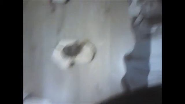 Rat kangourou смотреть онлайн
