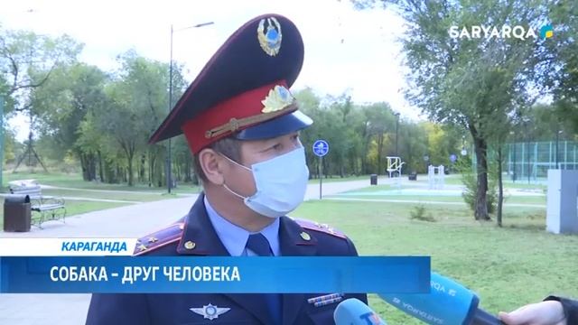 СОБАКА – ДРУГ ЧЕЛОВЕКА смотреть онлайн