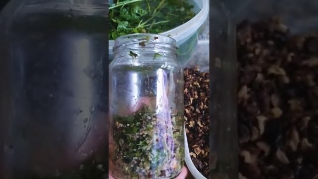 Pesto con cilantro, nueces, ajo, aceitunas negras y agua de mar 🌊💧❄ смотреть онлайн